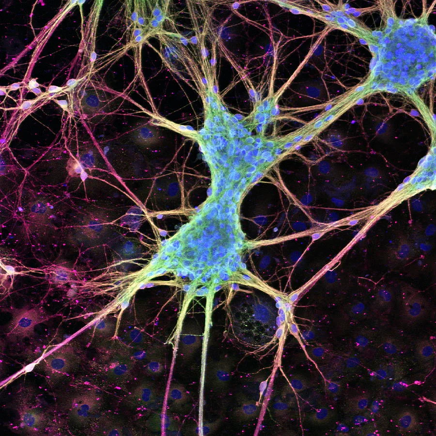 Microscopy-inspired scientific visual